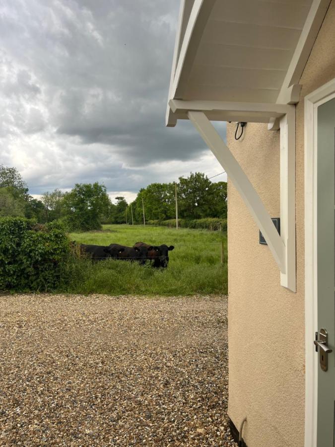 Corner Holiday home Cambridge (Cambridgeshire)